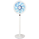 ZLN3765