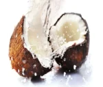 Καρύδα- Coconut